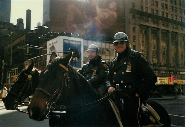 Horse mounted police