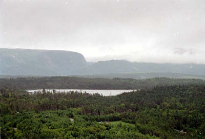 View from top of Berry Hill