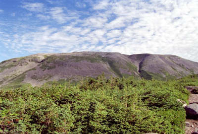 Mt. Gros Morne